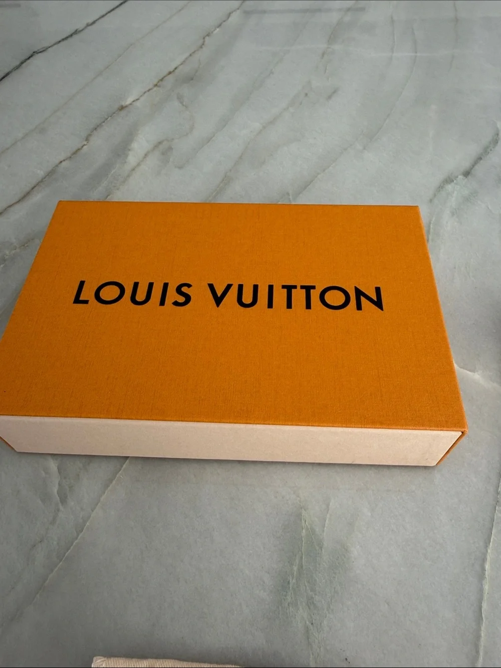 Louis Vuitton louis vuitton